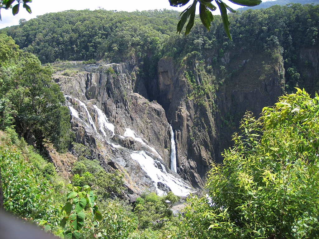 CairnsTC311 Kuranda.jpg